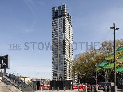 Picture 24